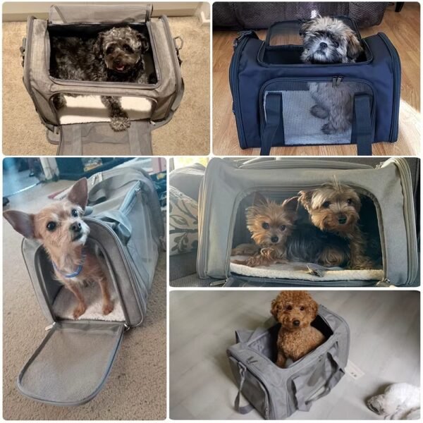 Sac de Transport pour chiens et chats confortable