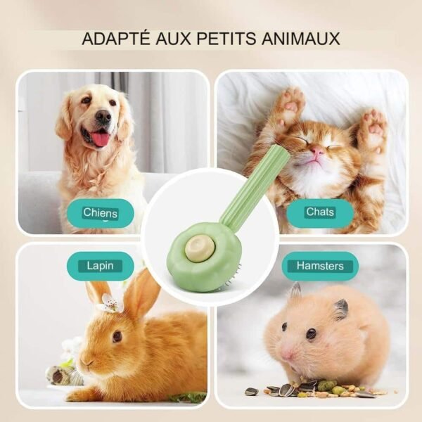 Sadd9b22f2a26438cbbeb6e991b336384G-1.jpg Brosse pour animaux auto nettoyante