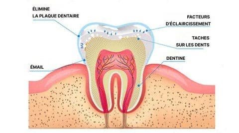 Stylo Blanchisseur de Dents – White Teeth