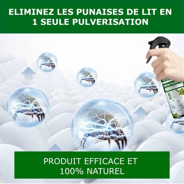 Spray anti punaises de lit et anti bactériens