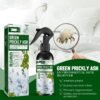 Spray anti punaises de lit et anti bactériens