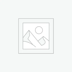 Affuteuse pour Tronçonneuse Automatique, Affuteur de Chaîne avec Guide pour Un Affûtage Précis